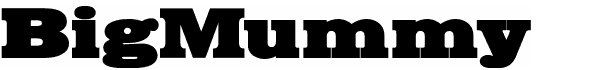 Serif Fonts and Their Peculiarities Image-42