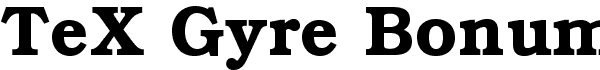 Serif Fonts and Their Peculiarities Image-43