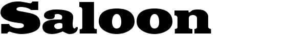 Serif Fonts and Their Peculiarities Image-44