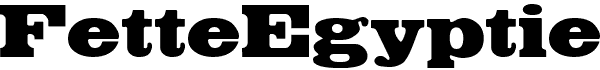 Serif Fonts and Their Peculiarities Image-45