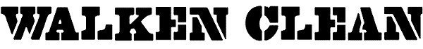 Serif Fonts and Their Peculiarities Image-46