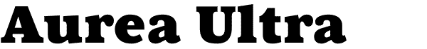 Serif Fonts and Their Peculiarities Image-49