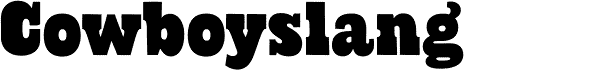 Serif Fonts and Their Peculiarities Image-50