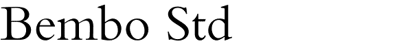 Serif Fonts and Their Peculiarities Image-8
