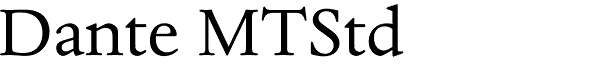 Serif Fonts and Their Peculiarities Image-9