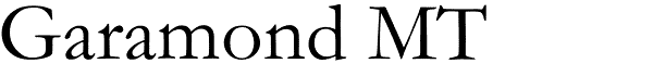 Serif Fonts and Their Peculiarities Image-10