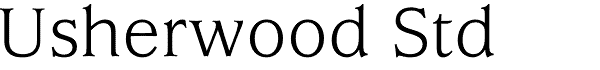 Serif Fonts and Their Peculiarities Image-11