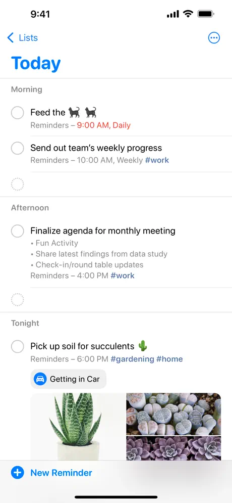 User Interface of Apple Reminders