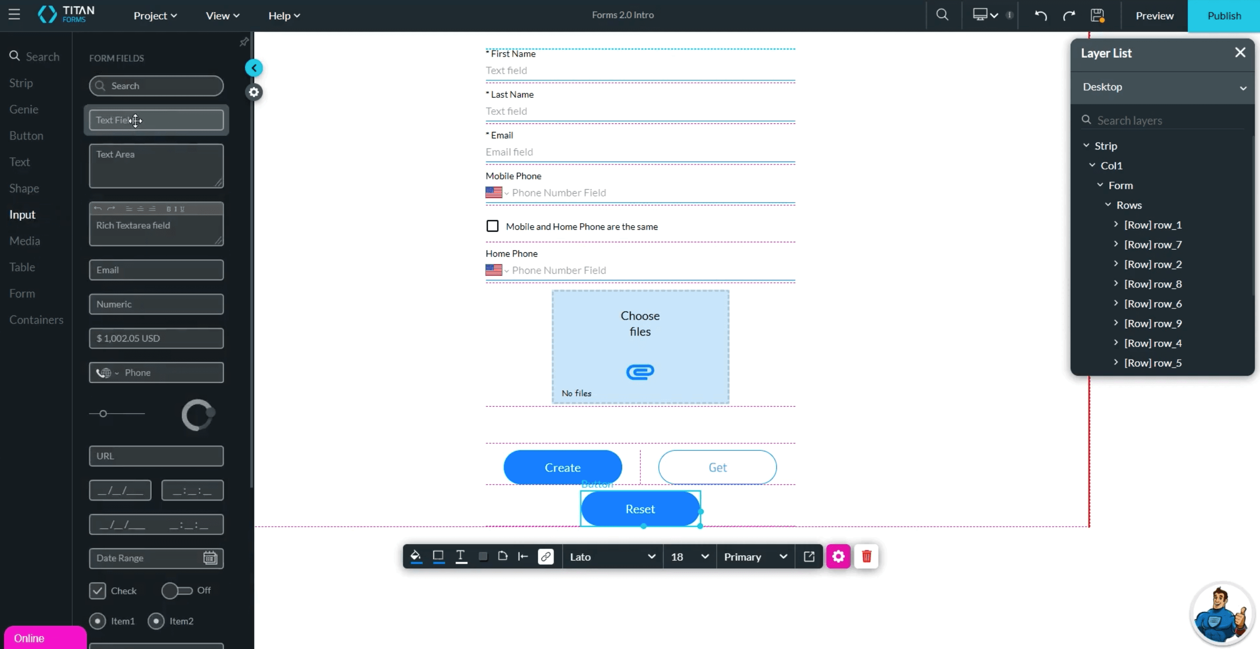 User Interface of Titan Forms