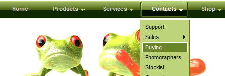 Multilevel Drop Down Navigation Menus: Examples and Tutorials Image-2