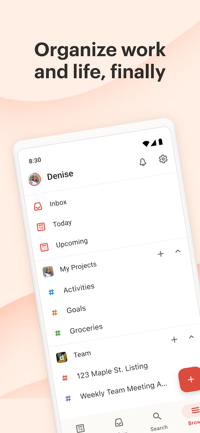 User Interface of Todoist