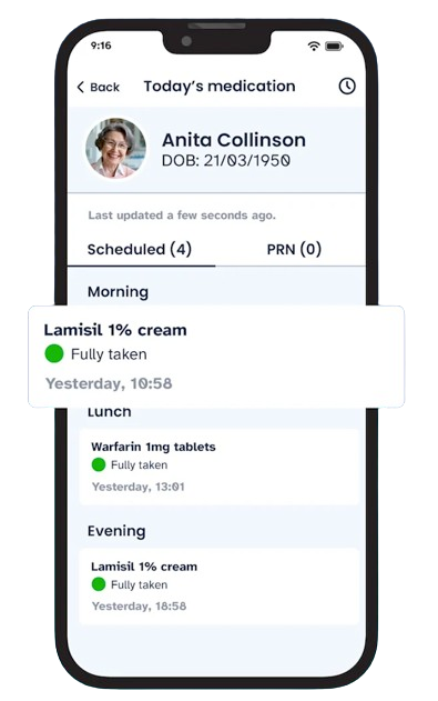 User Interface of Birdie
