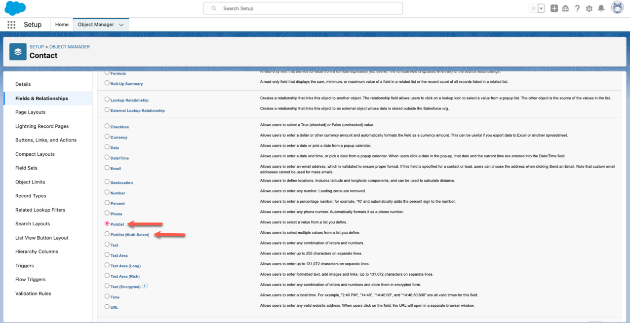 Highlighting the Picklist or Picklist (Multi-Select) Options in Fields & Relationships Window