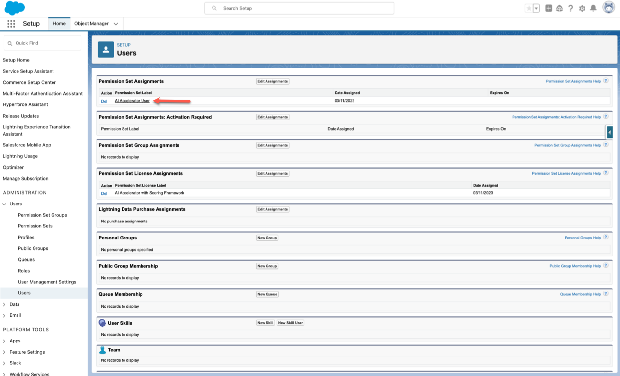 Permission Set Assignments Section Under the Setup Users Page