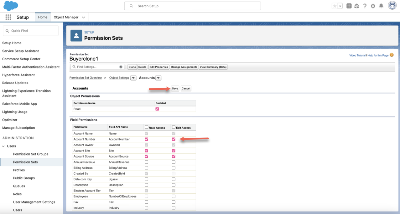 Setting Field Permissions and Clicking on the Save Button Next to the Accounts Tab
