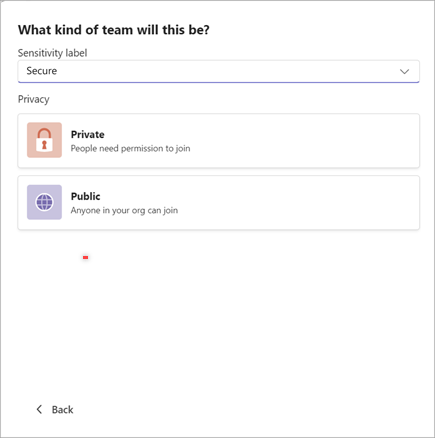 Screenshot of the screen to select whether a team in Microsoft Teams will be private or public