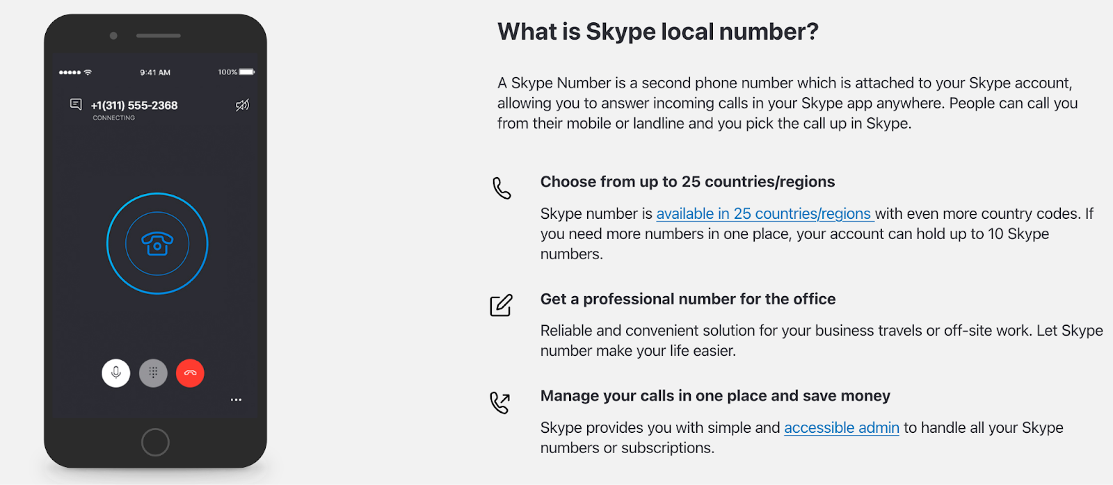 Screenshot of graphic on Skype website showing information about the Skype Number feature