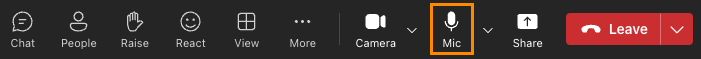 Buttons Displaying in a Microsoft Teams meeting at the bottom of the page clicking on the Mic Option