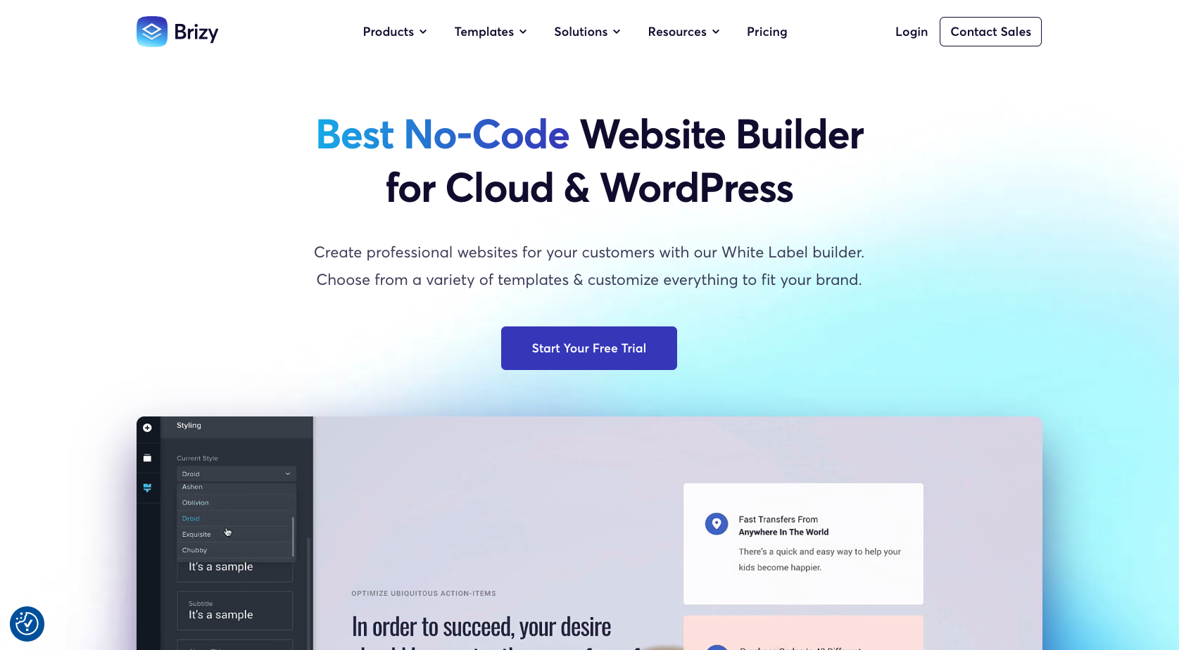 Brizy Landing Page