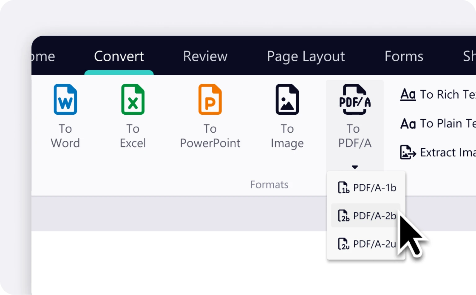 Nitro PDF interface showing a user converting a document to PDF/A-2b