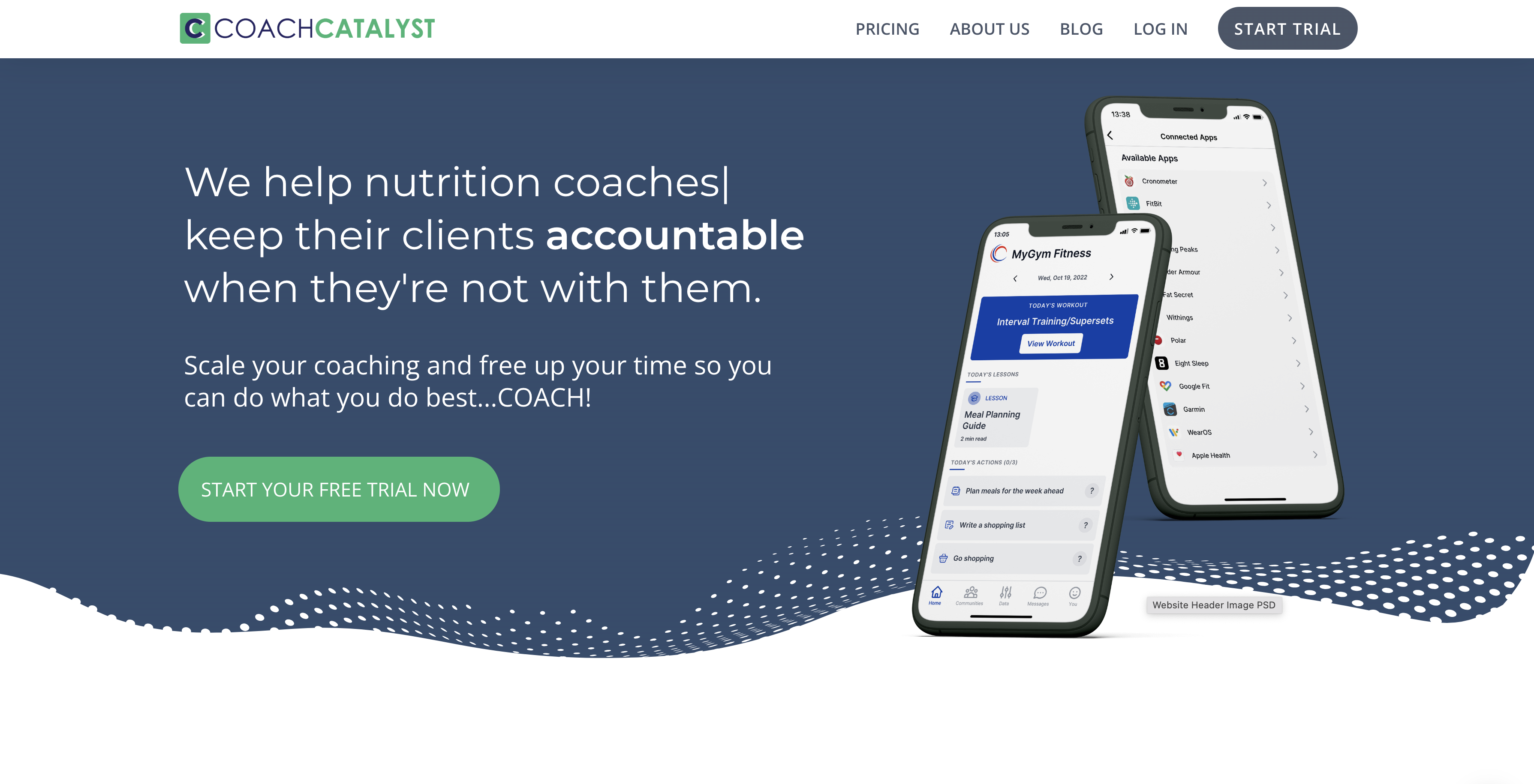 Coach Catalyst Landing Page