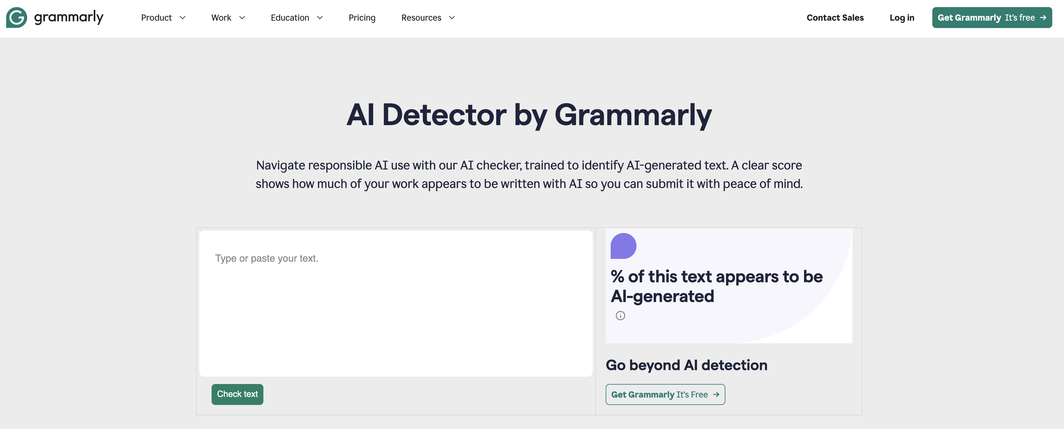 Grammarly user interface