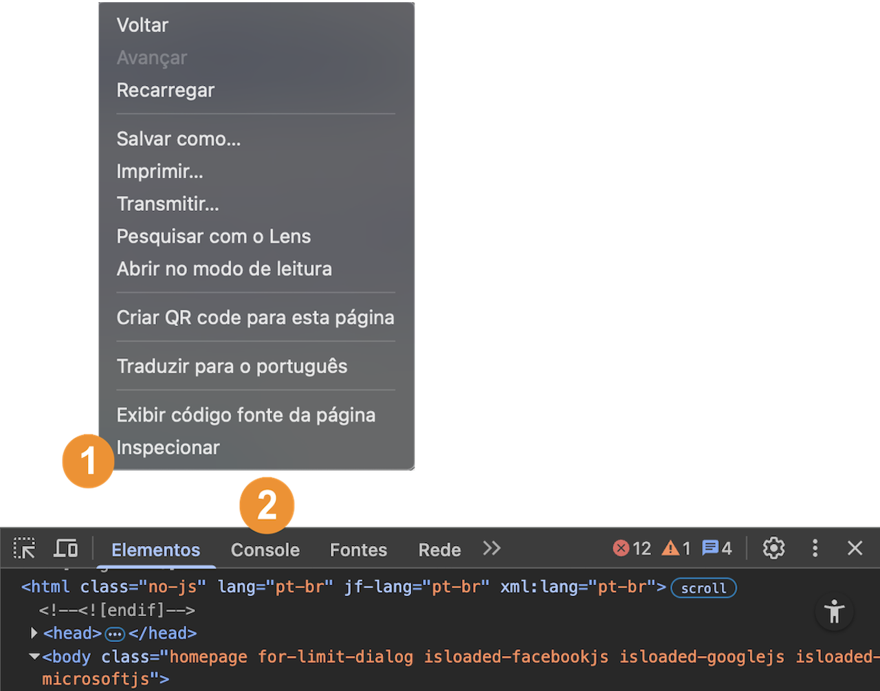 Inspecionar > Console (Chrome)
