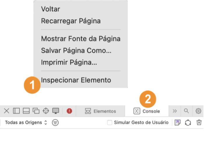 Inspecionar > Console (Safari)
