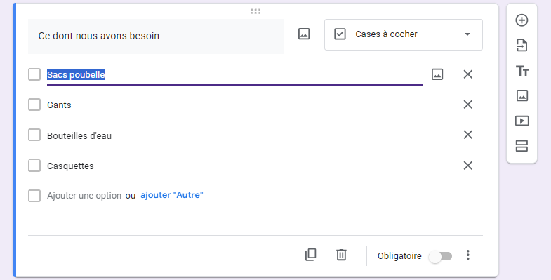 Capture d'écran montrant le lien Ajouter Autre en bas de la liste pour ajouter un champ de texte supplémentaire