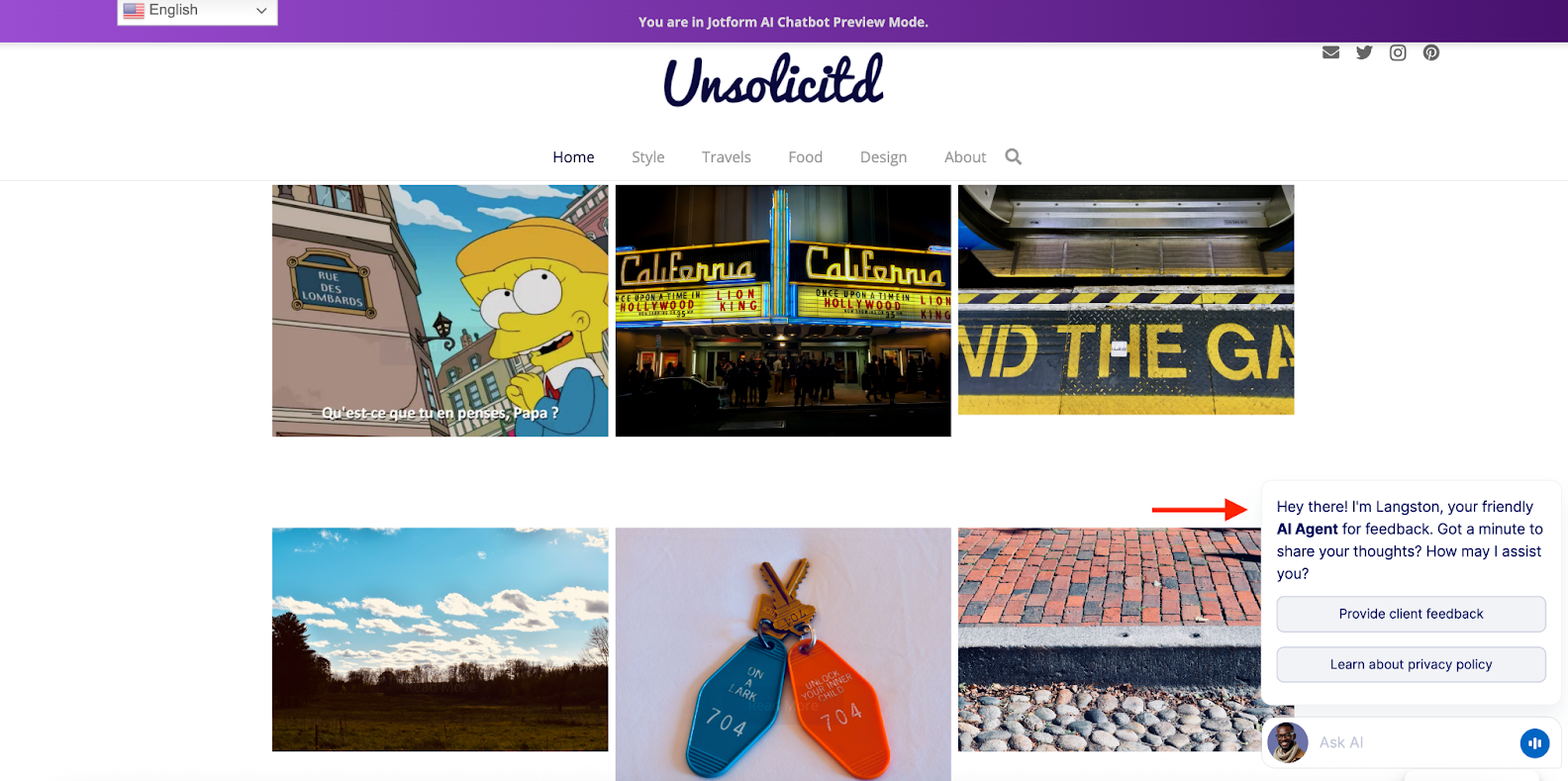 Previewing the AI chatbot on the website