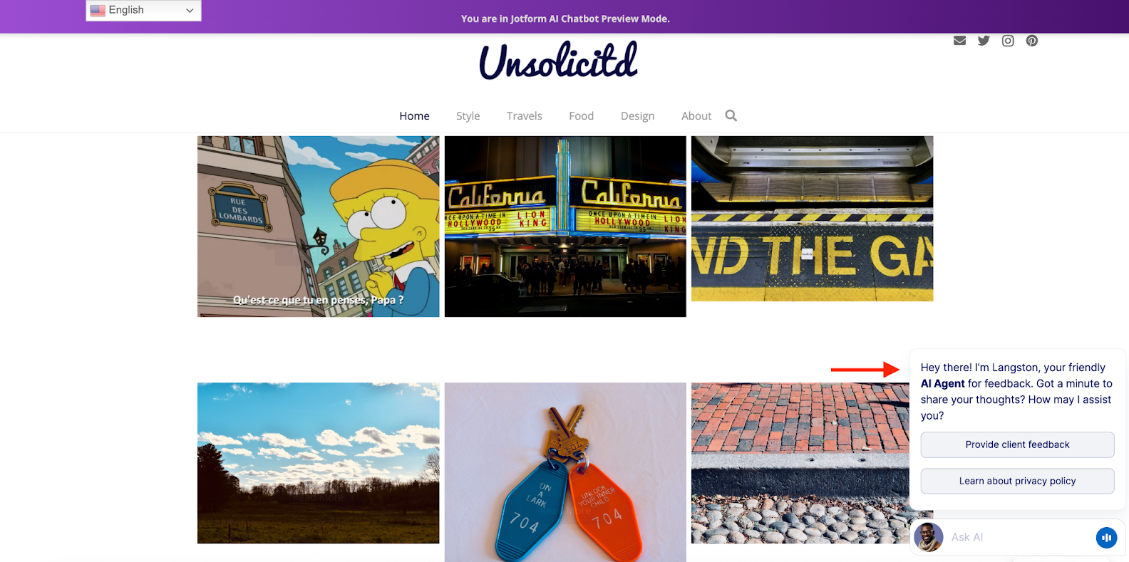 Previewing the chatbot on the website