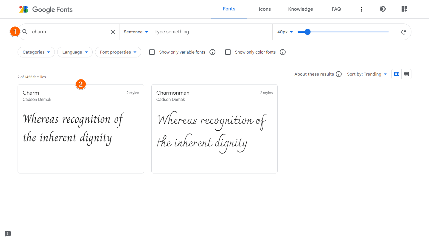 Google Fonts interface highlighting the search bar and a font box