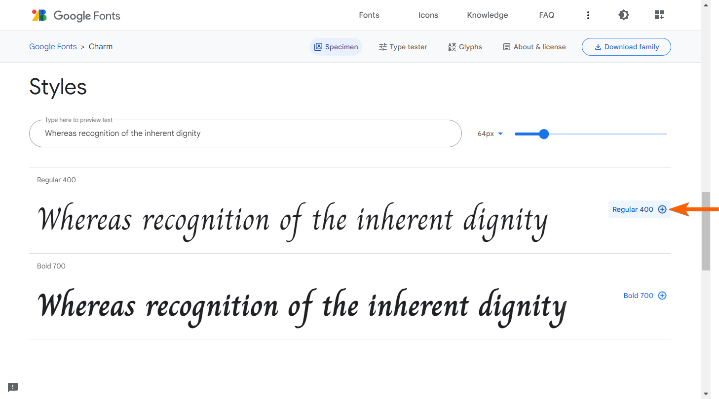Google Fonts interface showing the Styles menu and an arrow pointing to the plus icon