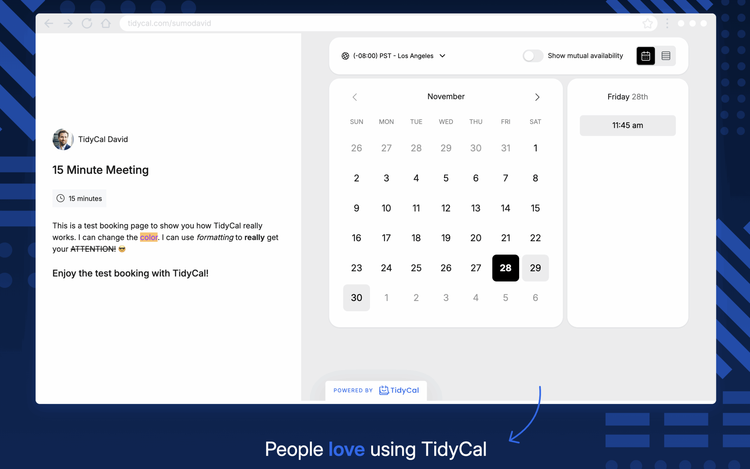 Tidycal Landing Page