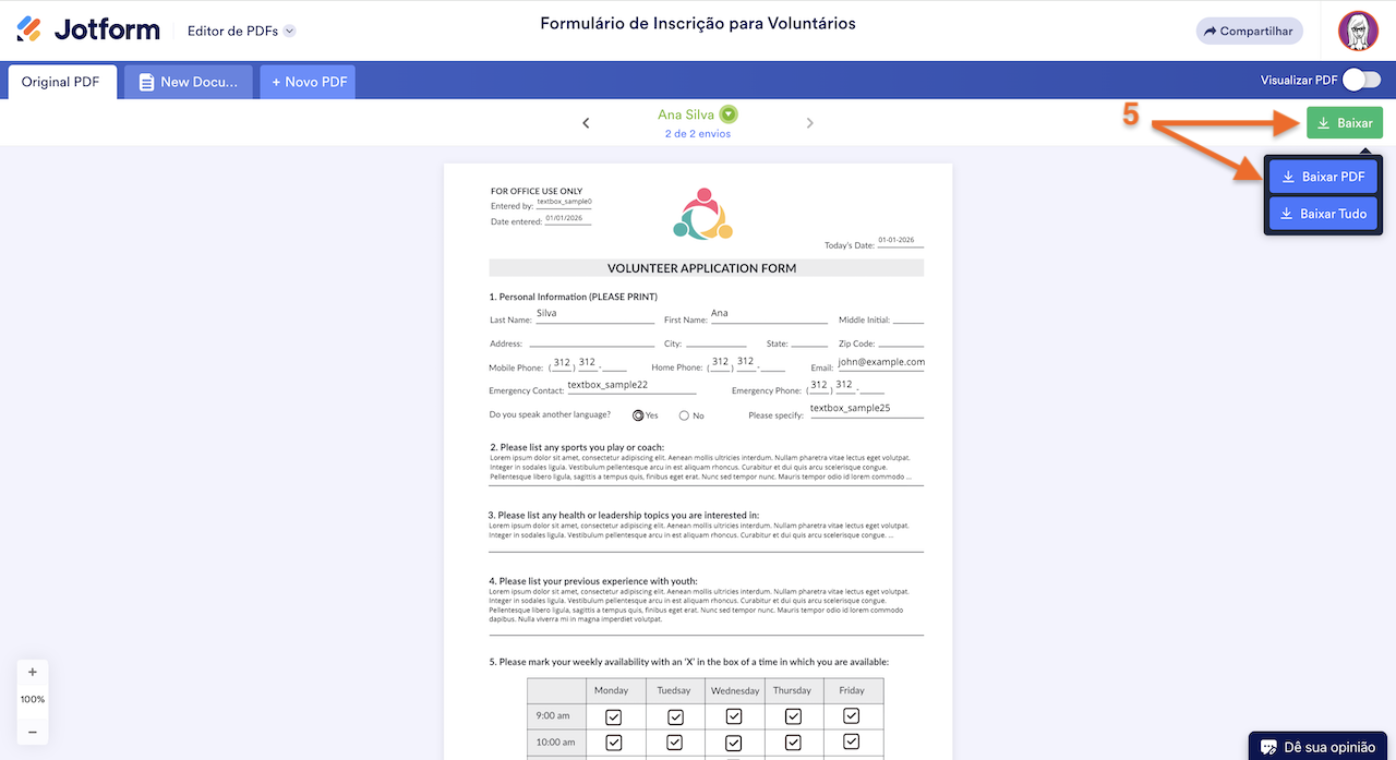 Opções de Download