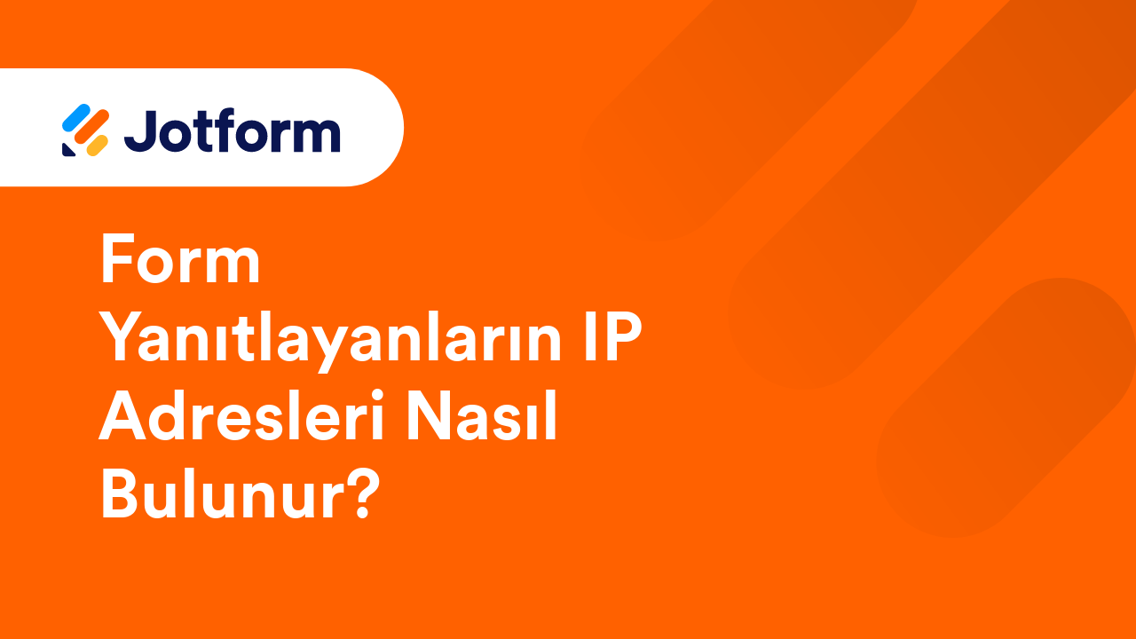 Formları Yönetme