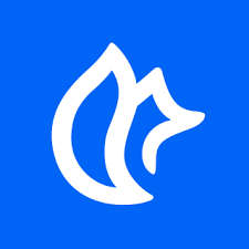 RegFox - Logo