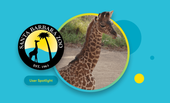 How Santa Barbara Zoo uses Jotform to hold votings for animal names