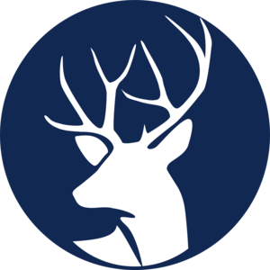 White Deer Wills - Profile picture